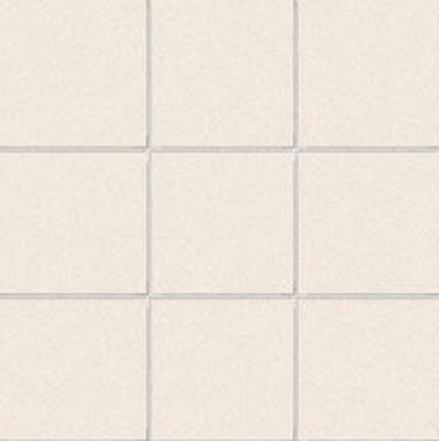 10X10 SODIO F.B. RETE