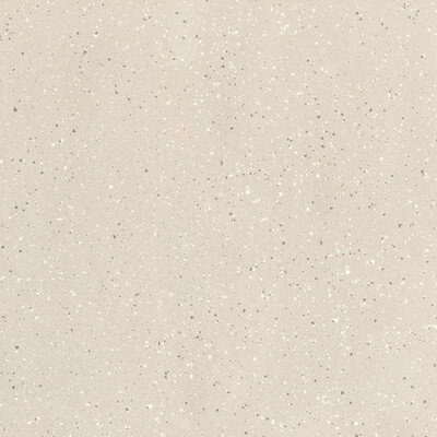 EARTHTECH PUMICE_FLAKES NAT 9MM 120X120 R
