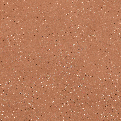 EARTHTECH OUTBACK_FLAKES GLOSSY 9MM 120X120 R