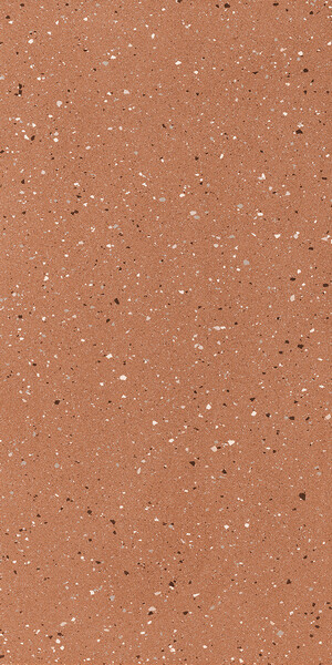 EARTHTECH OUTBACK_FLAKES GLOSSY 9MM 60X120 R