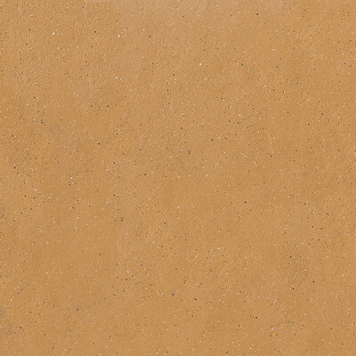 EARTHTECH SAVANNAH_GROUND PTV 9MM 60X60 R