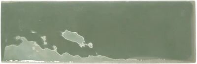REBELS MOSS GLOSS