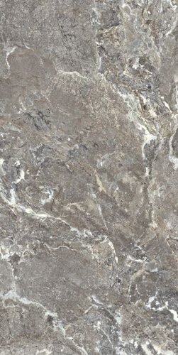 ONYX&MORE SILVER PORPHYRYSTR20MM60X120R