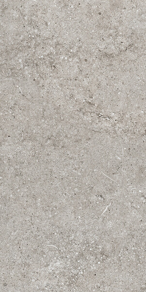 SENSI GREY FOSSIL 40X80 RET