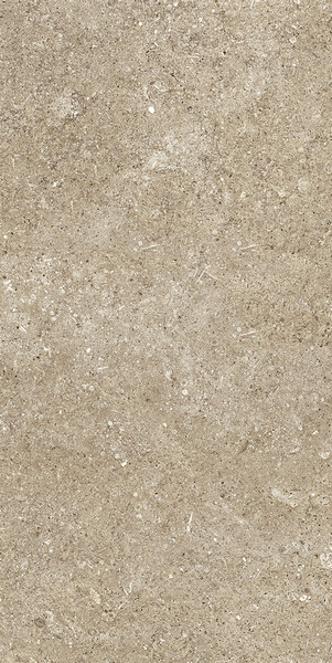 SENSI TAUPE FOSSIL 40X80 RET
