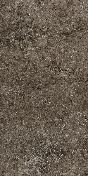 SENSI BROWN FOSSIL R+PTV 40X80 RETT