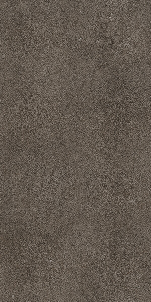 SENSI BROWN LITHOS 60X120 RET