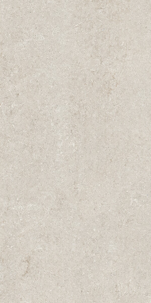 SENSI WHITE FOSSIL R+PTV 60X120 RET