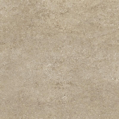 SENSI TAUPE FOSSIL R+PTV 80X80 RETT