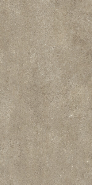 SENSI TAUPE FOSSIL NAT 6MM 120X240 R