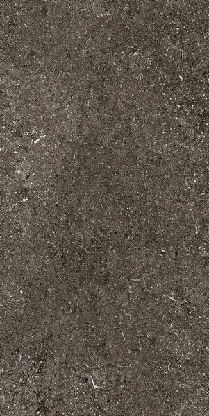 SENSI BROWN FOSSIL NAT 6MM 60X120 R