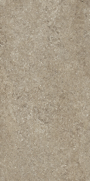 SENSI TAUPE FOSSIL NAT 6MM 60X120 R