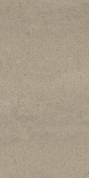 SENSI TAUPE DUST NAT 6MM 60X120 R