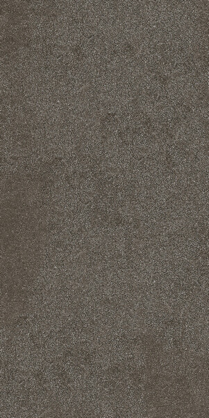 SENSI BROWN SAND R+PTV6MM 60X120 R