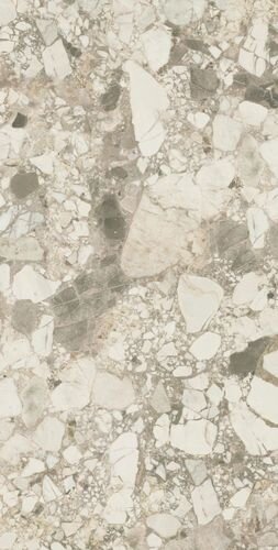 Forte Dei Marmi Ceppo Apuano Cream 80x160 Lappato