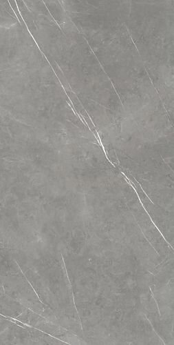 Forte Dei Marmi Elegant Grey 80x160 Lappato