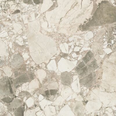 Forte Dei Marmi Ceppo Apuano Cream 80x80 Lappato