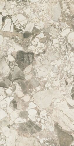 Forte Dei Marmi Ceppo Apuano Cream Rett 80x160
