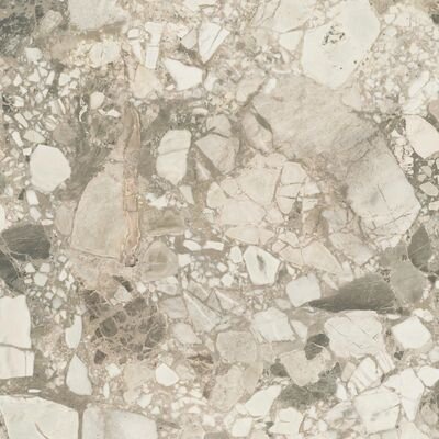 Forte Dei Marmi Ceppo Apuano Cream Rett 80x80