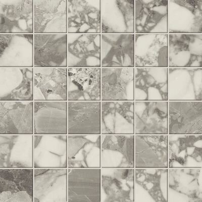 Forte Dei Marmi Ceppo Apuano Pearl Mosaic Lappato 30x30
