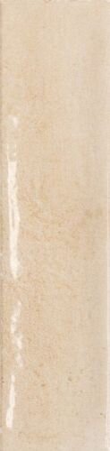BARI BROWN/6X24,6