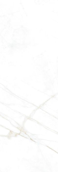 DUAL WHITE SP/33,3X100/R