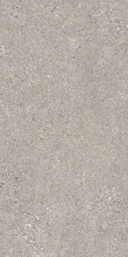 MANHATTAN GREY AS/60X120/C/R