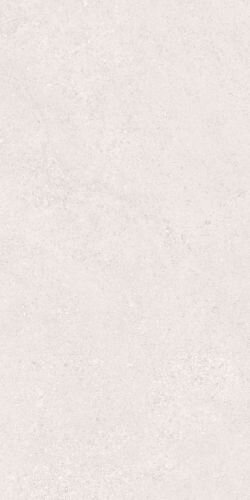 CLUNY SILVER/50X100X2/A/R