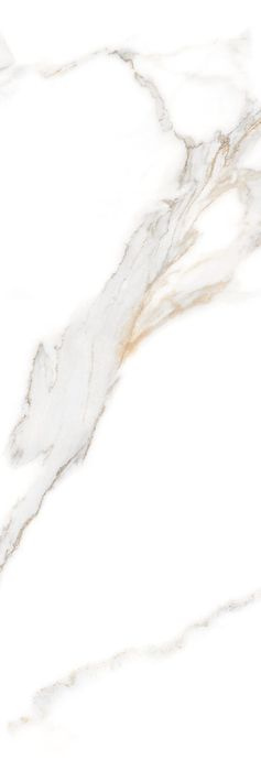 PRALINE GOLD DECOR SP/33,3X100/R