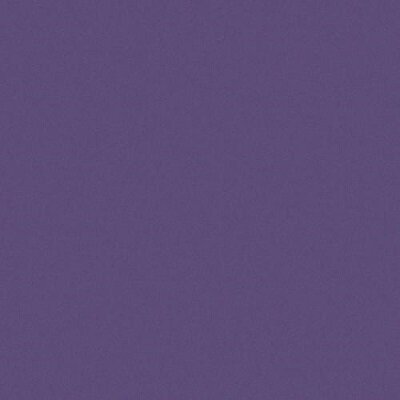 5X5 VIOLA
