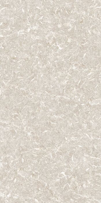 TRACK IVORY NATURAL