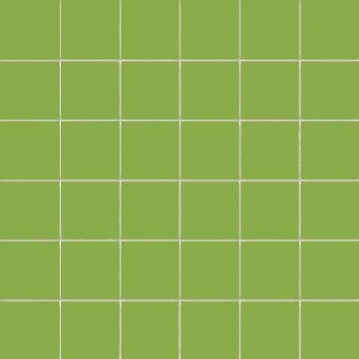 5X5 KIWI SU RETE