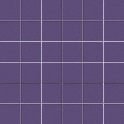5X5 VIOLA / RETE