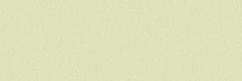 20X60 FIENO