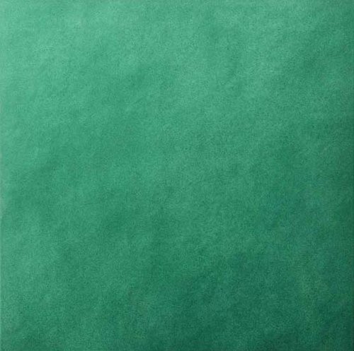 20X20 CHIA