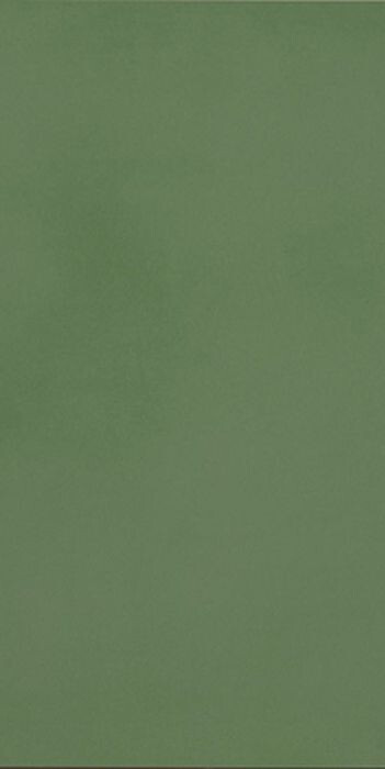 R-EVOLUTION GREEN 9MM