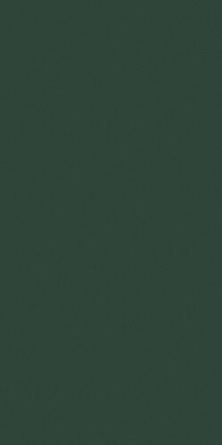 CRAYONS CERIM MOSS NAT 6MM 120X240R