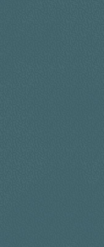 Boost Color Navy Frog 50x120