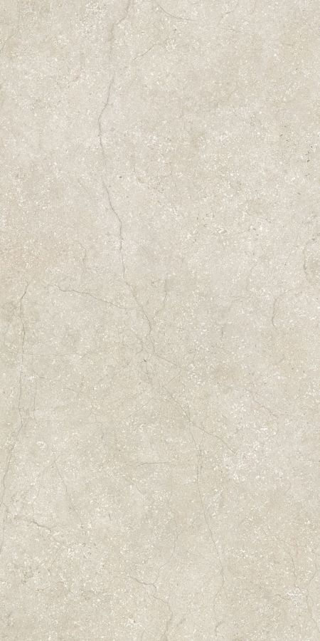 STONE LIFE SHELL 6MM 60X120 RETT