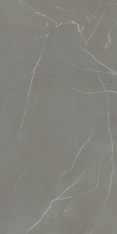 IN-SIDE Pietra Piasentina Grigio Fiammato 120x300 5+