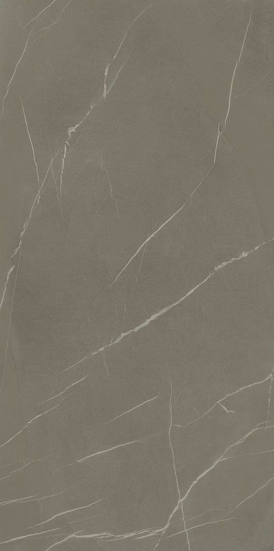 IN-SIDE Pietra Piasentina Grigio Fiammato 162х324 12+