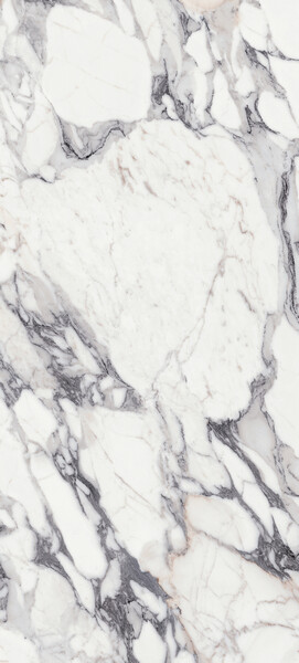 ORIGINES DE REX ARGENT GLOSSY 6MM 120X280 R