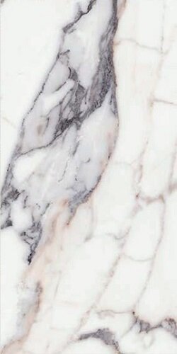 ORIGINES DE REX ARGENT MATTE 6MM 60X120 R