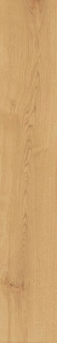 Exence Almond 20x120