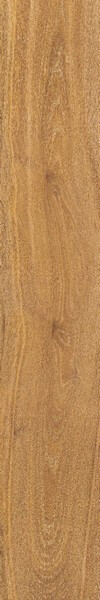 VERBIER HONEY AS/19,5X121X0,9/C/R