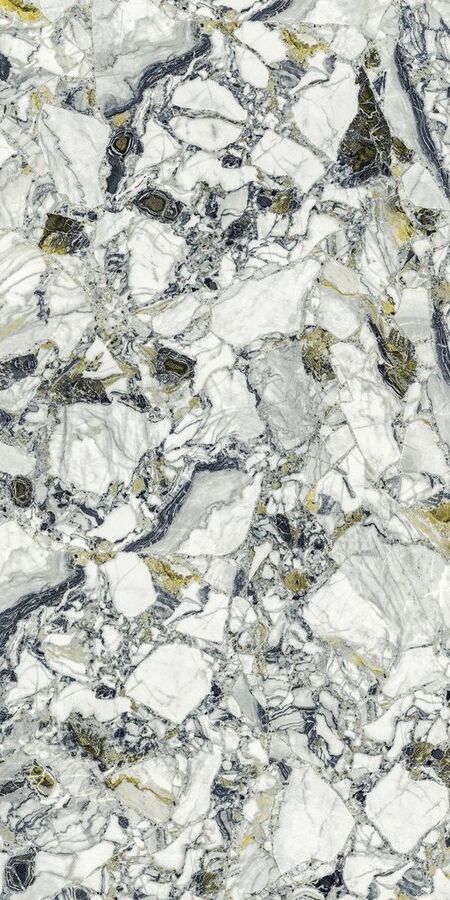 Forte Dei Marmi Quark Ceppo Apuano Forest 80x160 Lappato