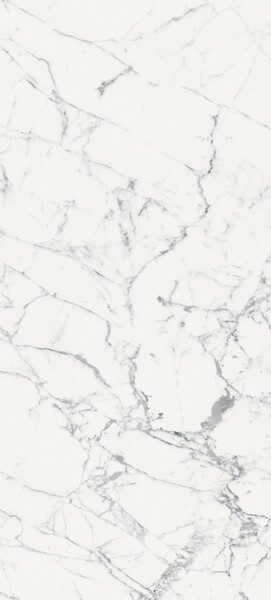 ORIGINES DE REX BLANC GLOSSY 6MM 120X280 R