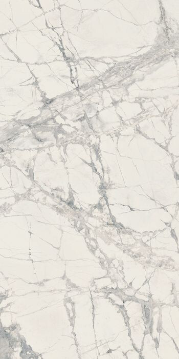PREXIOUS REX MOUNTAIN TREASURE GLOSSY 60X120R