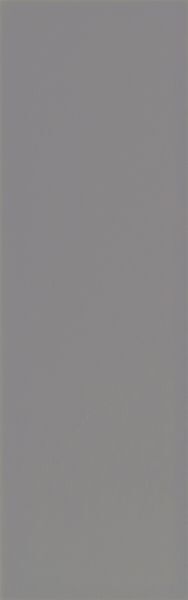 10X30 MATTE RAL0005000 MATT