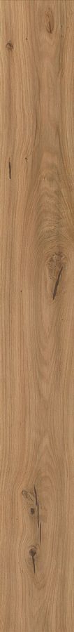 Log Deep Oak Forest 20x180